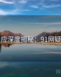 官方回应深度揭秘：91网疑点解析
