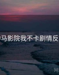 神马影院我不卡剧情反转