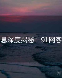 一线消息深度揭秘：91网客观复盘