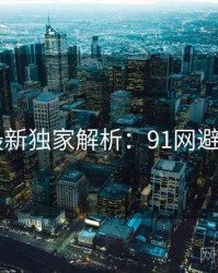 2025最新独家解析：91网避坑指南