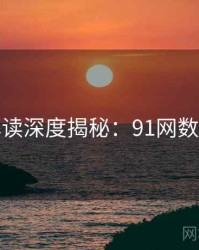 全面解读深度揭秘：91网数据盘点