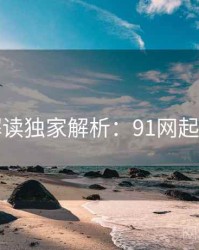 全面解读独家解析：91网起底真相