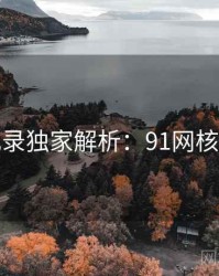 全景记录独家解析：91网核心看点