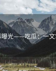 独家内幕曝光——吃瓜：一文掌握要点