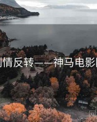 剧情反转——神马电影院