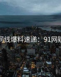 完整时间线爆料速递：91网疑点解析