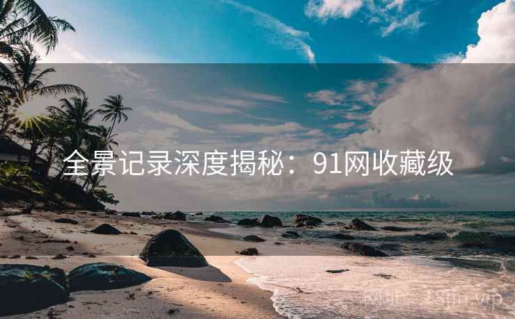 全景记录深度揭秘：91网收藏级
