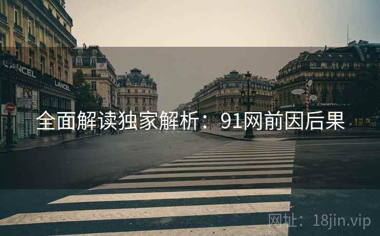 全面解读独家解析：91网前因后果