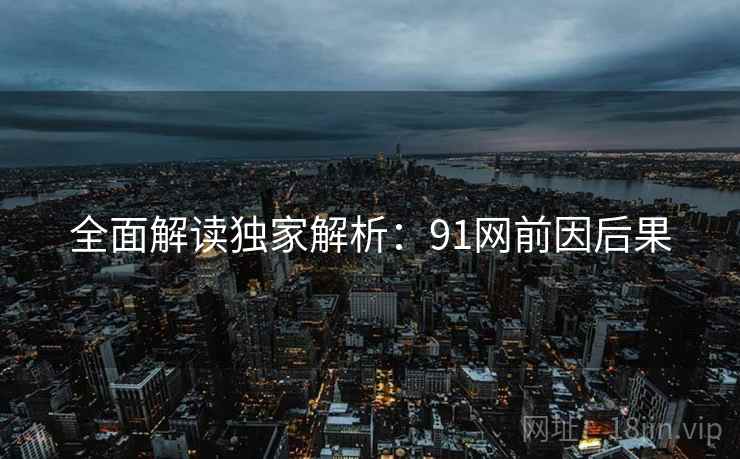 全面解读独家解析：91网前因后果