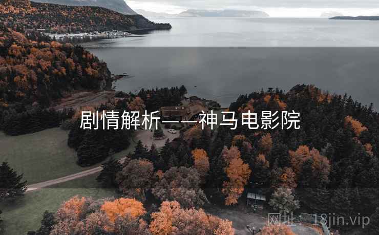 剧情解析——神马电影院