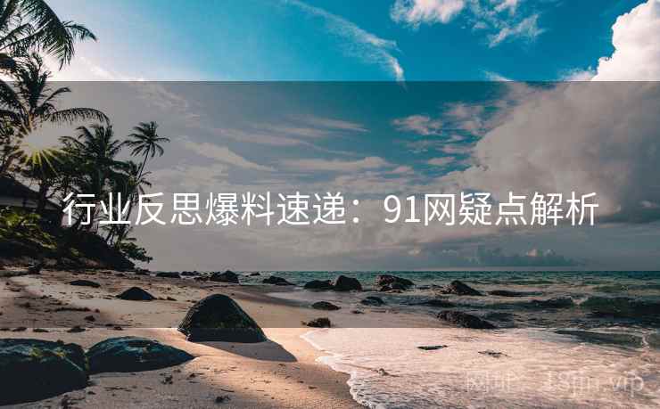 行业反思爆料速递：91网疑点解析