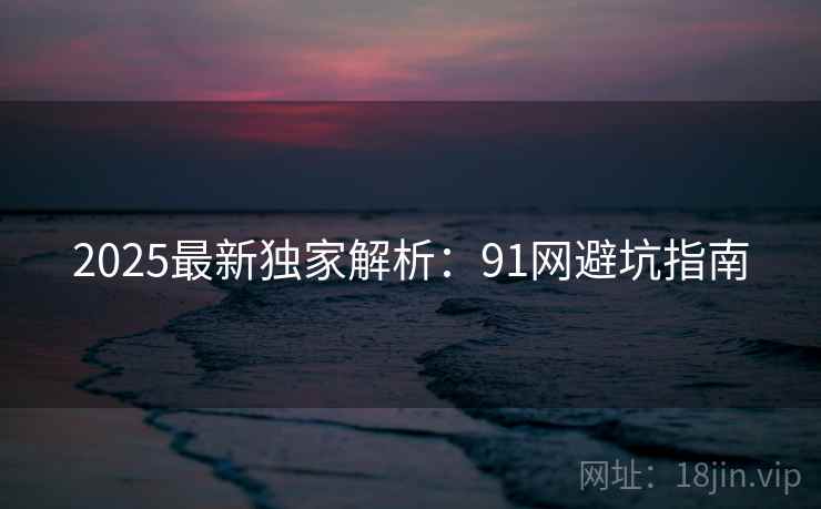 2025最新独家解析：91网避坑指南