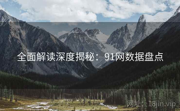 全面解读深度揭秘：91网数据盘点
