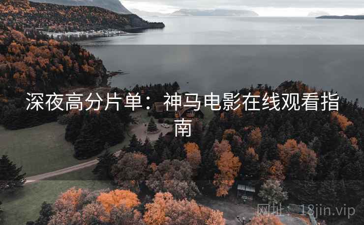 深夜高分片单：神马电影在线观看指南