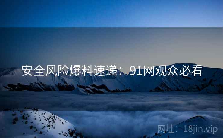 安全风险爆料速递：91网观众必看