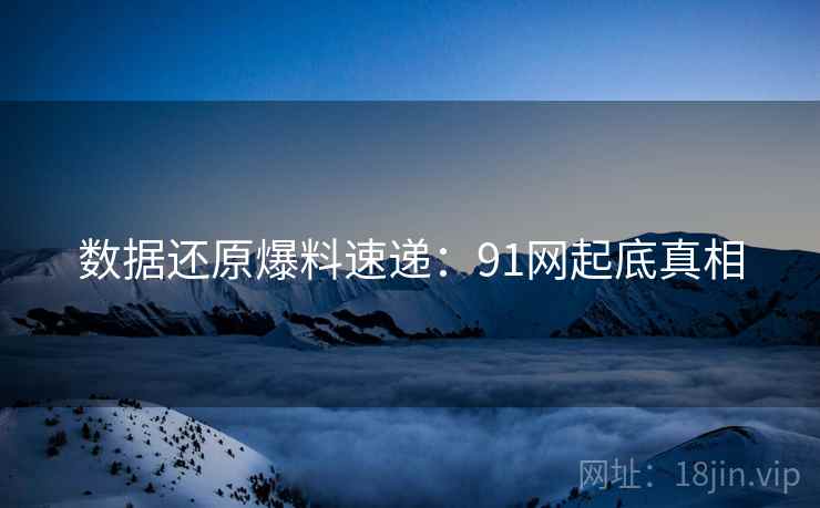 数据还原爆料速递：91网起底真相