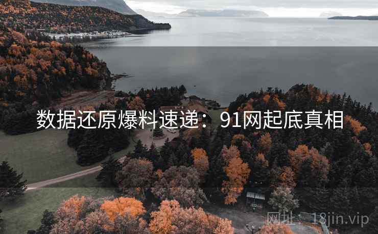 数据还原爆料速递：91网起底真相