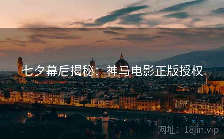 七夕幕后揭秘：神马电影正版授权