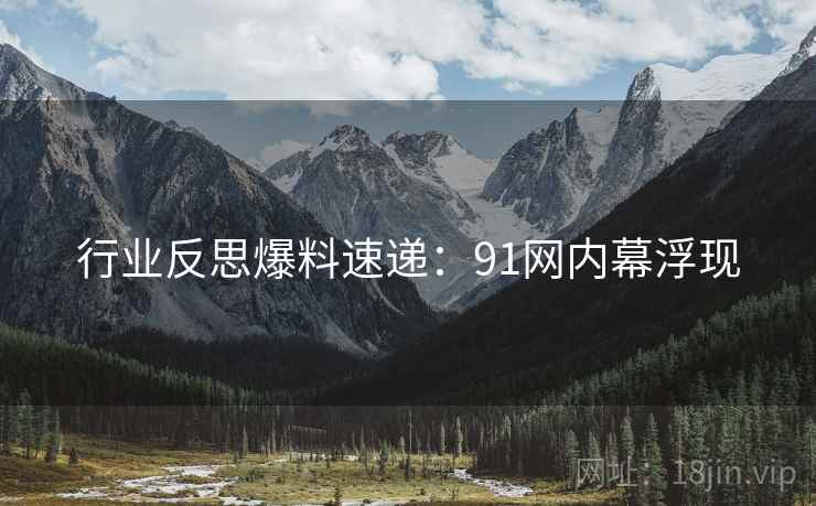 行业反思爆料速递：91网内幕浮现