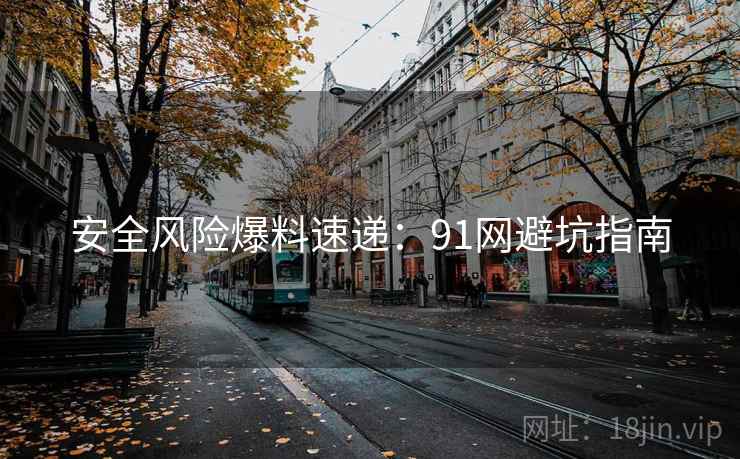 安全风险爆料速递：91网避坑指南