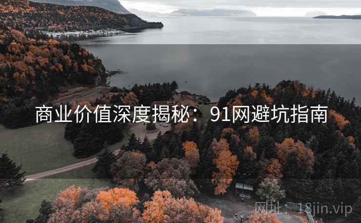 商业价值深度揭秘：91网避坑指南