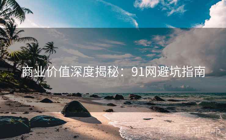 商业价值深度揭秘：91网避坑指南