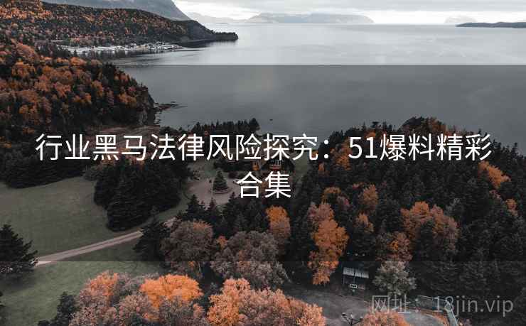 行业黑马法律风险探究：51爆料精彩合集