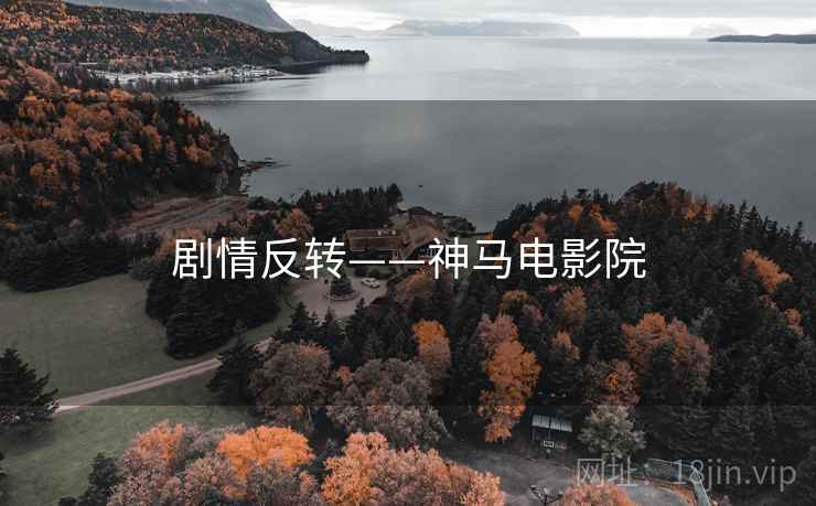 剧情反转——神马电影院